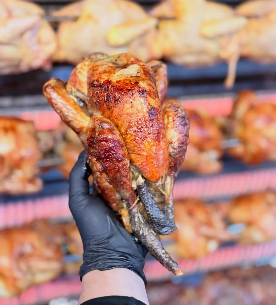 Mon Poulet Adoré